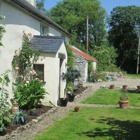 300 Year Old Tradition Irish 度假居