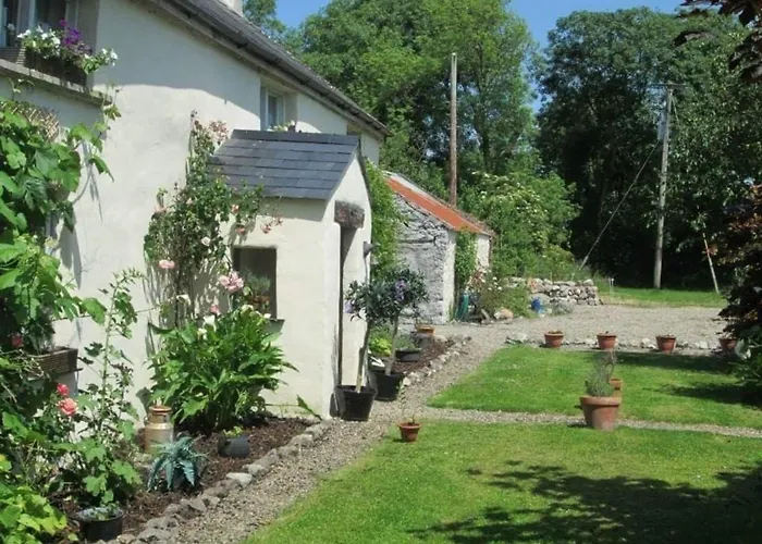 300 Year Old Tradition Irish 度假居