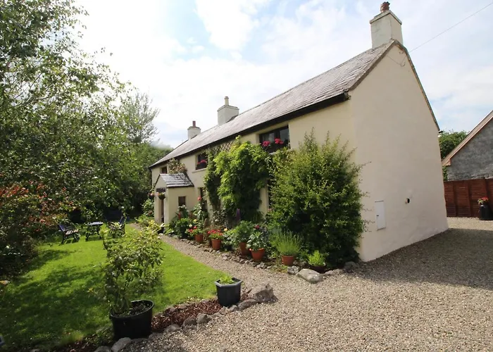 300 Year Old Tradition Irish *