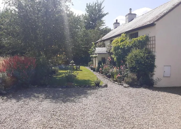 300 Year Old Tradition Irish * Courtmatrix